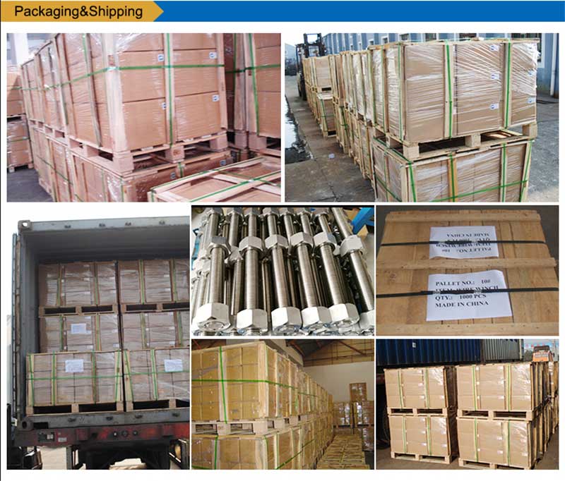 Rustfritt stål-List-bolter-Skrue-lås-pakking